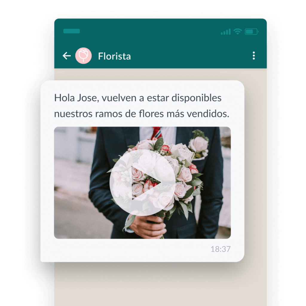 ejemplo whatsapp marketing