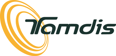 logo tamdis