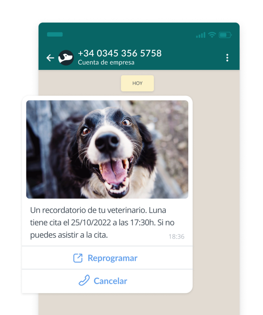 ejemplo recordatorio cita WA