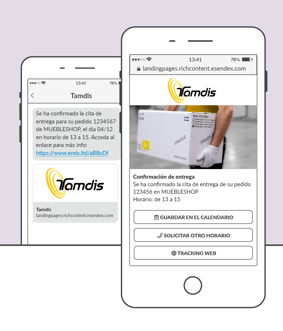 Tamdis ejemplo SMS Landing pages